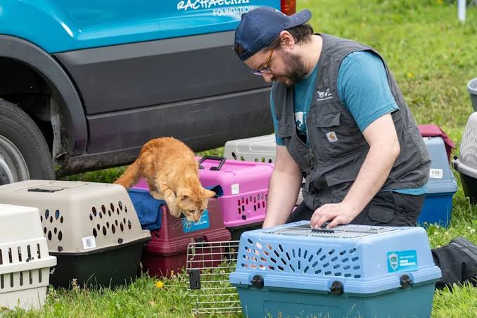 Over 70 Cats Rescued From Severely Unsanitary Minnesota Home Filled With Feces and Trash