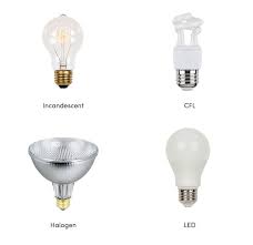 Types Of Lightbulbs How To Choose The Right One Wayfair