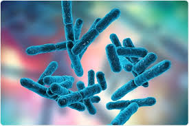 Can you guess when it is? Should You Take Probiotics Whilst Travelling