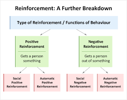 functions of behaviour educate autism