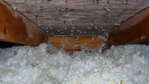 Existing plumbing small repairs existing structures materials enforcement plumbing permits stack: Mastering Roof Inspections Roof Penetrations Part 4 Internachi