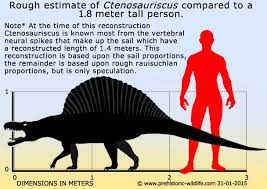Ctenosauriscus Prehistoric Wildlife Prehistoric Animals Prehistoric World