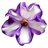 Profile for Perfect Violets