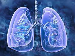 Image result for Emphysema