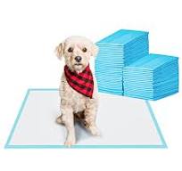 BESTLE Pet Training and Puppy Pads Pee Pads for Dogs 22"x22" Super  Absorbent & Leak-Proof