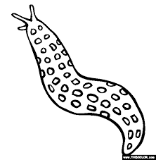 Mom and baby zebra coloring pages. Slug Coloring Page Free Slug Online Coloring Coloring Pages Insect Coloring Pages Online Coloring