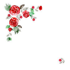 Cute Watercolor Flower Frame Background With Red Roses Invitation Red Roses Background Flower Frame Watercolor Flower Background