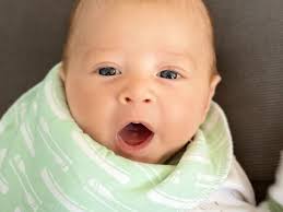 Fundraiser for Christopher Candal by Alexis Rosen : Help the Candal family  through tragedy