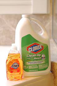 12 wet and forget 801064 shower cleaner. How To Clean Whirlpool Tub Jets Simply Organized Cleaning With Bleach Clean Bathtub Cleaning