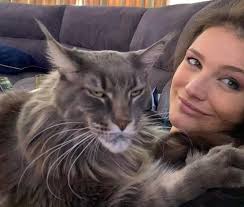 OK Mom right there....hold it scratcheeeees puuuurrffect! ❤️ You're welcome  Wolfgang Amadeus Mozart Aka WOLFIE!!!!!