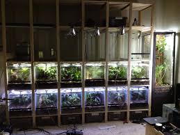 Img 0003 Reptiles Reptiles Room In 2020 Reptile Room Reptile Tank Terrarium