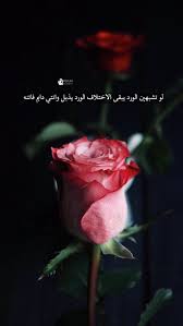 Pin By Hiba Abu Sahyoun On كلمات وعبارات جميله Arabic Quotes Photo Quotes Arabic Text