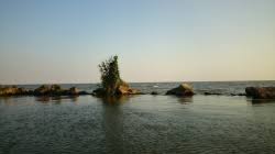 Alege o opțiune albă neagră nu se aplică la canvas. Canalul DunÄre Marea NeagrÄ Din Crisan