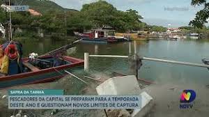 Câmara municipal de viana do castelo. Regras Sanitarias Para Pesca Da Tainha Em Sc Geram Confusao Entre Pescadores