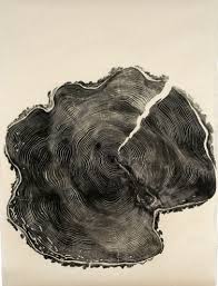 Bryan Nash Gill: Nature as a tool and Prints