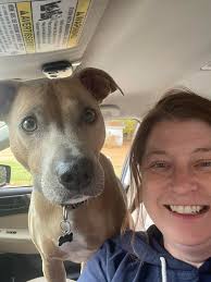 All these dogs are EX reactive dogs helped with TAF, by Trish Wamsat from  the US. Trish is set to become the very first certified TAF instructor and  has used TAF with