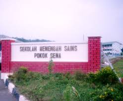 Sm (sains) pokok sena (66 m geriau matyti vietą sekolah menengah (sains) pokok sena, atkreipkite dėmesį į netoliese esančias gatves: Selamat Datang Ke Sek Men Sains Pokok Sena