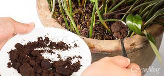 Coffee grounds both used and fresh will help you control pests, feed your plants, and make flowers thrive. A Common Sense Guide To Using Coffee Grounds In The Garden