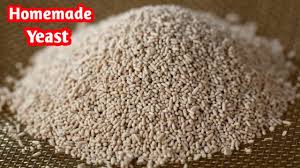 ஈஸ ட இன வ ட ட ல ய ச ய யல ம How To Make Yeast At Home Diy How To Make Yeast In Tamil Youtube
