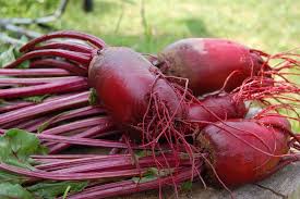Ubi ungu sangat lezat apalagi dimakan dalam kondisi yang masih hangat. Buah Bit Taksonomi Asal Jenis Kandungan Dan Manfaat