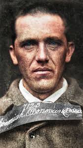 He was born into an Irish-speaking family in Reenascreena near Rosscarbery,  Co. Cork in 1831 As a child in 1843, he shook the hand of Daniel O'Connell  He saw his father die