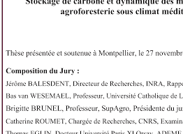 Https Pastel Archives Ouvertes Fr Tel 01306955 Document