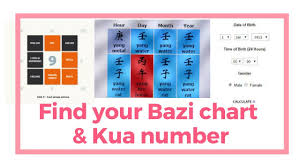 How To Find Out Your Ba Zi Chart Four Pillar Chart And Kua Gua Number