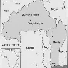 Image result for Heteranthoecia  guineensis