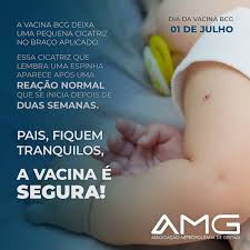 Tb is a serious infection that affects the lungs and sometimes other parts of the body, such as the bones, joints and kidneys. Tire Suas Duvidas Sobre A Vacina Bcg Amg Gestao