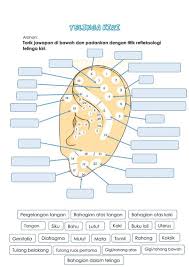 Check spelling or type a new query. Dnajibahnor Dnajibahnor0483 Profile Pinterest