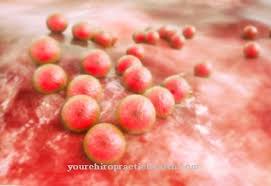 Penyakit juga boleh diklasifikasikan sebagai penyakit berjangkit dan tidak berjangkit. Flucloxacillin Kesan Aplikasi Risiko Bahan Bahan Aktif
