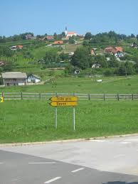 Na vrhu je stabljike do 50 cm duga metlica s mnogobrojnim klasićima svaki s tri do osam cvjetića, a plod trske je pšeno. Otocec Trska Gora Sloveniaholidays Com