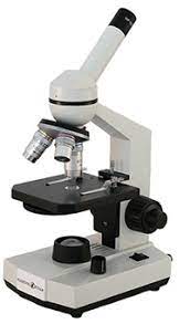 This barska ay12226 digital microscope features a 10x eyepiece and a 3.5 color lcd for flexible viewing options. Best Microscopes For Kids Microscope World Blog