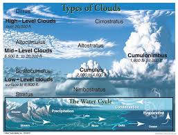 Cirrus Means Curl Of Hair In Latin