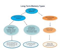 Memory 102 To Store Or Not To Store Short Term Memory To