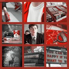 cheers to our youth. — James Potter x Slytherin! Reader Word Count:...