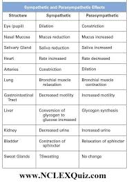 Sympathetic And Parasympathetic Effects Chart Pharmacology