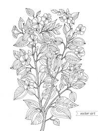 Cherry Blossom Coloring Page Rajzok Szinezo Mintak