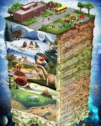 The geologic time scale (gts) is a system of chronological dating that classifies geological strata (stratigraphy) in time. ØªÙˆÙŠØªØ± Ensename De Ciencia Ø¹Ù„Ù‰ ØªÙˆÙŠØªØ± Escala De Tiempo Geologico Https T Co Dzdl6hbsoa