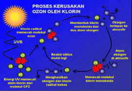 Oleh karena itu, konsentrasi ozon yang lebih tinggi di stratosfer sangat penting untuk memastikan dampak penipisan lapisan ozon bagi kesehatan. Fungsi Lapisan Atmosfer Pengertian Fungsi Dan Manfaatnya