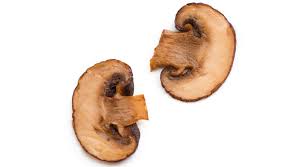 So most veterinarians advise against letting your dogs eat mushrooms in the wild, even if you try to identify them as safe1. Can Dogs Eat Cooked Mushrooms Quick Answer