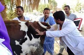 تفقد الدكتور طارق رحمي محافظ الغربية، عددًا من المشروعات الجاري تنفيذها ضمن المبادرة الرئاسية حياة كريمة بمركز زفتى، حيث تفقد مدرسة شرشابة الثانوية، مجمع الخدمات بشرشابة ومحطة الصرف الصحي بقرية شبراملس، وذلك بحضور. Ù‚Ø§ÙÙ„Ø© Ø¨ÙŠØ·Ø±ÙŠØ© Ø¨Ù‚Ø±Ù‰ Ø­ÙŠØ§Ø© ÙƒØ±ÙŠÙ…Ø© ÙÙŠ Ø§Ù„ØºØ±Ø¨ÙŠØ© ØµØ­Ù‡ ÙˆØ¨ÙŠØ¦Ø© Ø§Ù„Ø£Ø±Ø¶