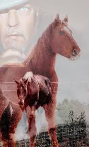 What do you think of combining 3 photos into one?