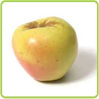 Wash and core apples, and place snugly in a glass baking dish. Apple Fruits Gallery Apple Fruit Varieties Delicious Golden Apple Fuji Fruit Calories Ginger Gold Apples Recipes Fruit Apple Fruits Fruit Calories