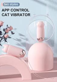 Oeuf vibrant Chat griffe APP vibrateurs jouets sexuels Pour femmes g-spot  Machine sexuelle télécommande femmes masturbateur oeufs vibrants produits  de boutique de porno : Amazon.fr: Hygiène et Santé