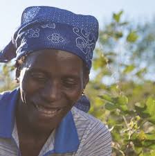 Leading brands improve performance