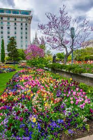 Things still don't look like they used to, but here's how you can safely visit us at the store. Temple Square Flowers Things To Do In Salt Lake City City Sights Utah