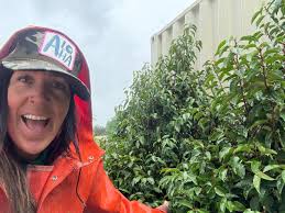 Happy Saturday!!!! I want to show you a little bit of what we do @ Cattle  Point Rock & Topsoil 🙌🏼 Hardy Island Salt & Pepper Granite End Cuts bieng  expertly offloaded