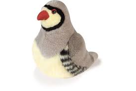 Pin On Audubon Birds