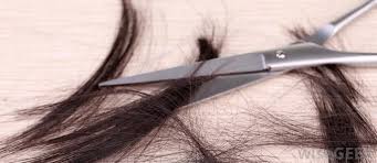A local tv station in san antonio also reported on the trend recently. How Effective Is Miconazole For Hair Growth With Pictures